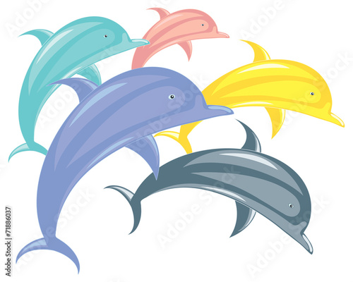 dolphin abstract