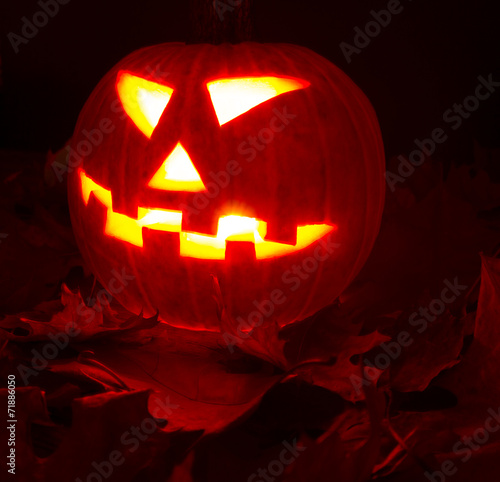 Autumn helloween pumpkin  photo