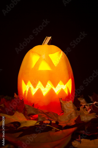 Autumn helloween pumpkin photo