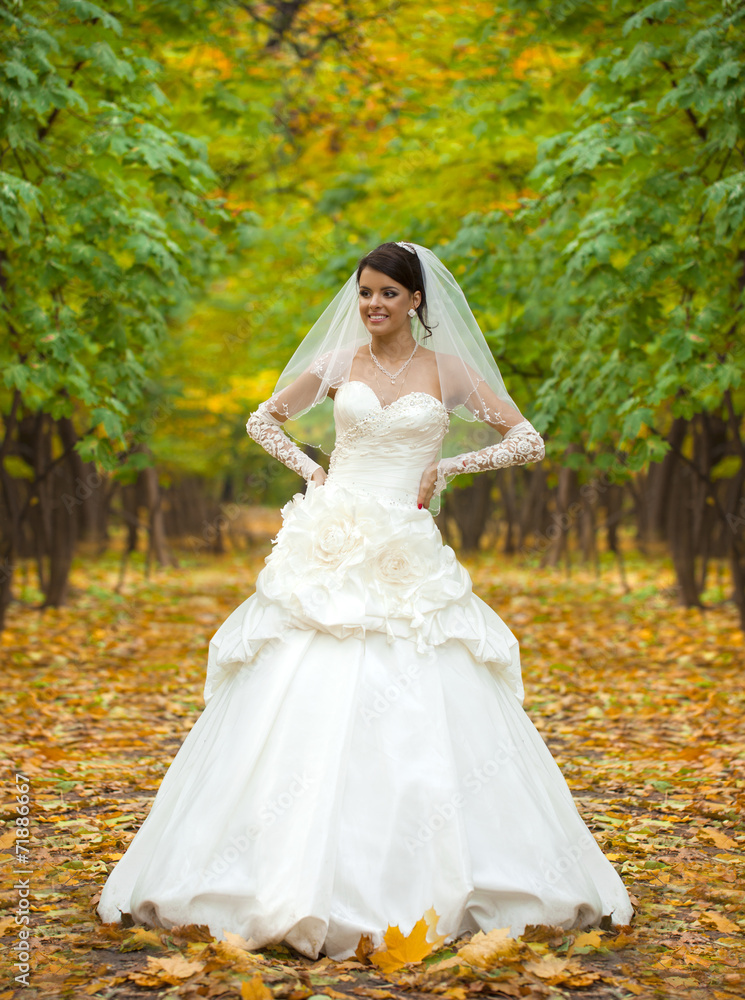 Portrait of a beautiful smiling bride