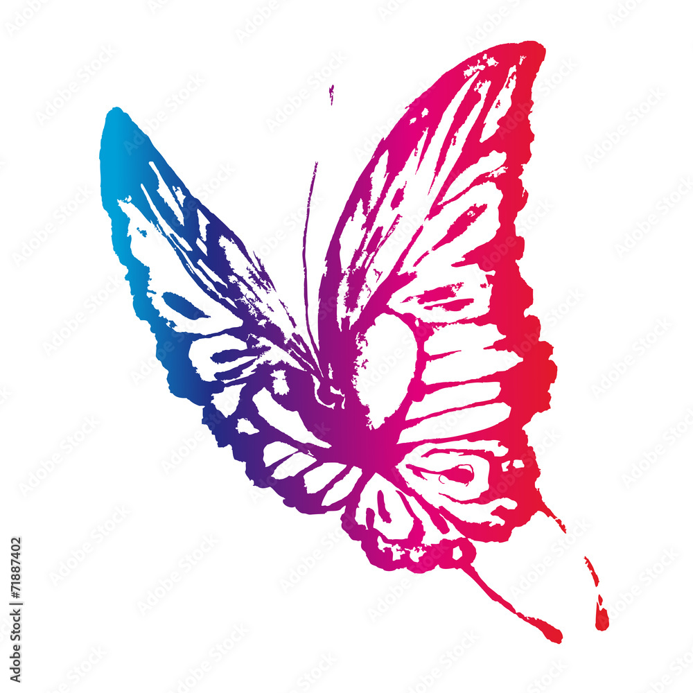 Obraz butterflies design