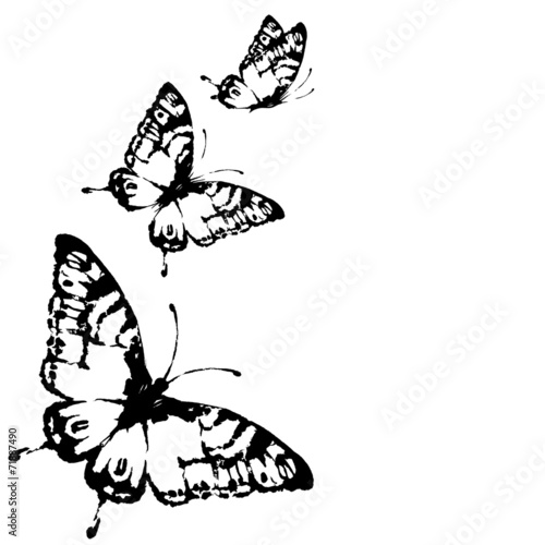 butterflies design