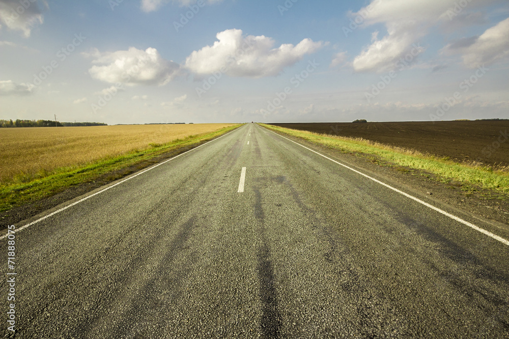 Fototapeta premium autumn sketches.