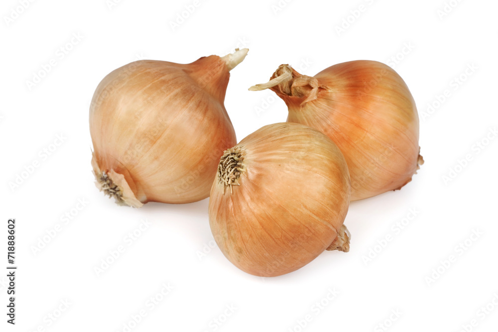 Three onions isolated on white background Three onions isolated on white background