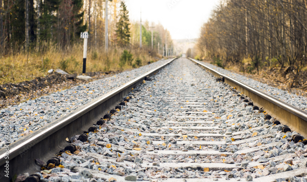 Fototapeta premium Railroad in the wild autumn forest