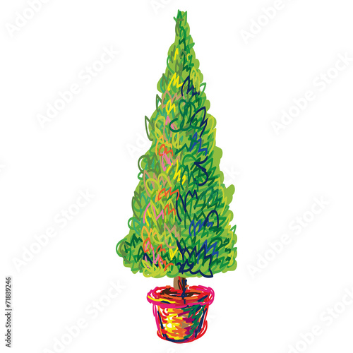 Decorative bay tree in pot with green foliage