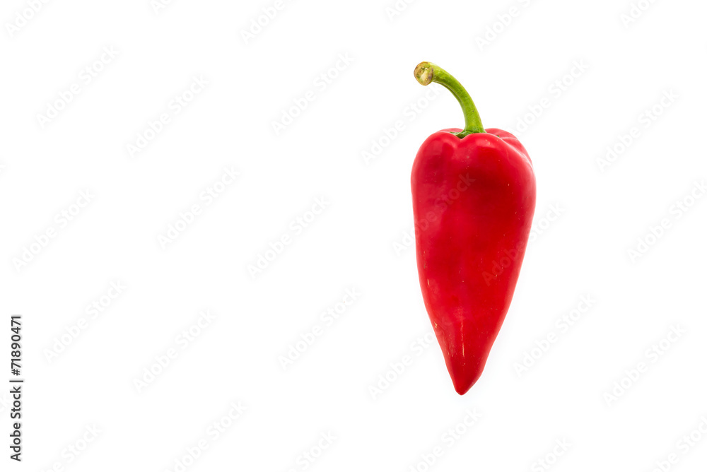 Red chilli isolated on white