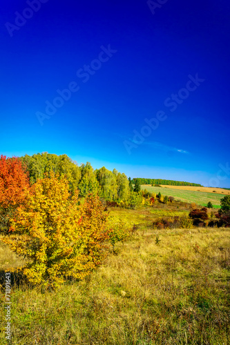 Fototapeta Naklejka Na Ścianę i Meble -  Delicious, fabulous fall over fields.