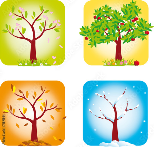 4 saisons - visuel 1