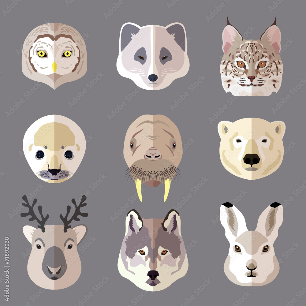 Fototapeta premium Animal portrait flat icon set
