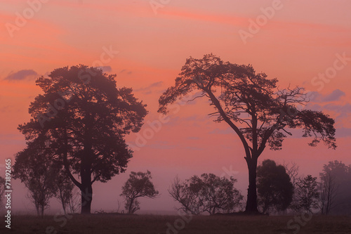 African sunrise