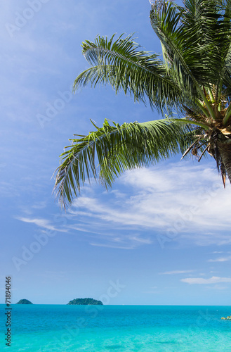 Green View Jungle and Sea