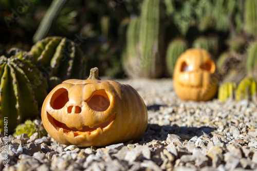 Halloween scary pumpkins on the cactuses backgroung