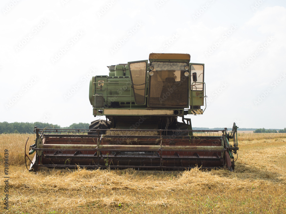 Fototapeta premium harvester in work
