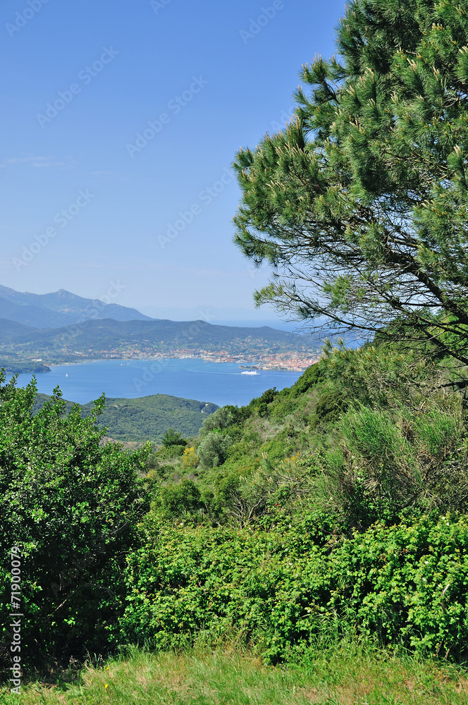 Blick auf Portoferraio auf der Insel Elba