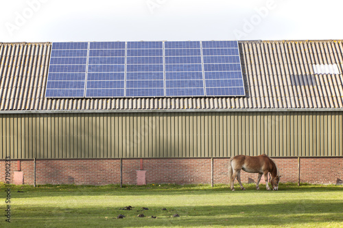 Fototapeta Naklejka Na Ścianę i Meble -  solar panels and grazing horse