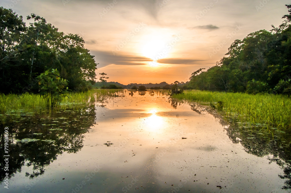 Poster, Foto River in the Amazon Rainforest at dusk, Peru, South America -  Koop op EuroPosters.nl