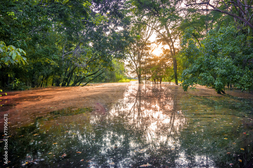 River in the Amazon Rainforest at dusk, Peru, South America