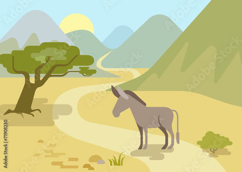 Donkey flat design cartoon vector wild animals