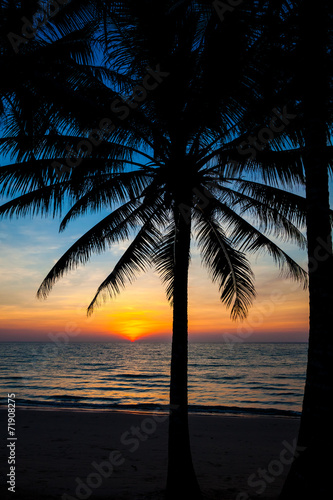 beach in sunset time. palm trees silhouette on sunset tropical b