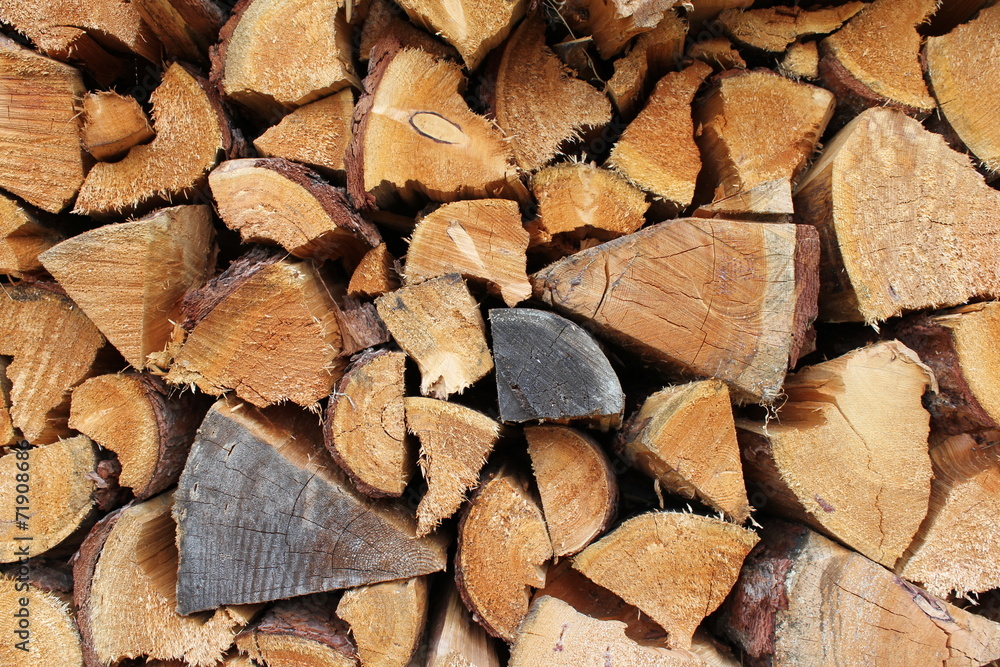 Holz Holz