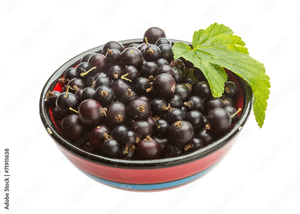 Black currant Black currant