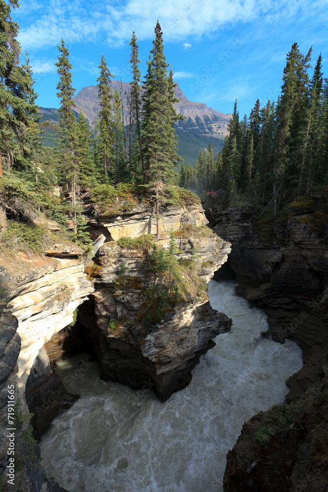 Obraz premium Maligne Canyon