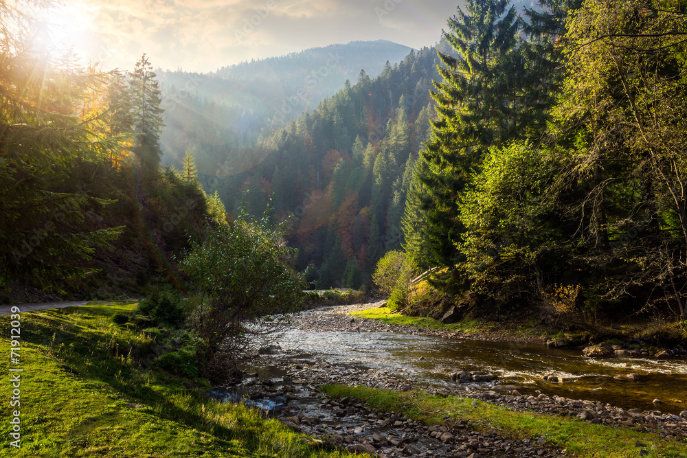 Fototapeta leśna rzeka w górach