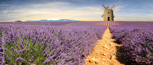 France - Provence photo
