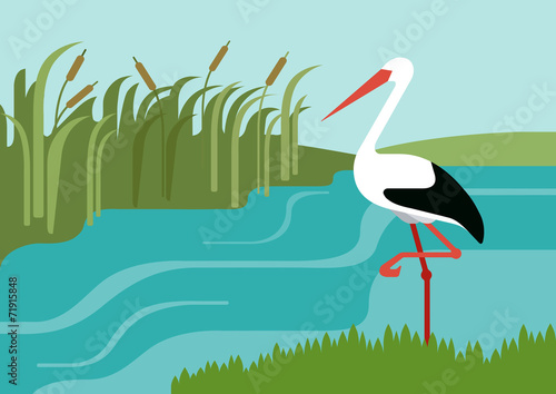 Stork river reeds flat design cartoon vector wild animals birds