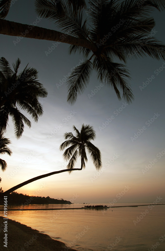 Sunset on exotic beach