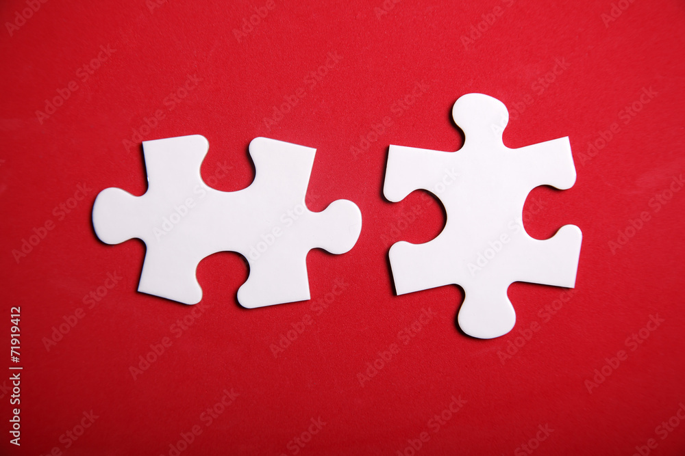 Jigsaw Puzzle Jigsaw Puzzle