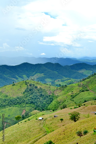 Corn on the Mountain