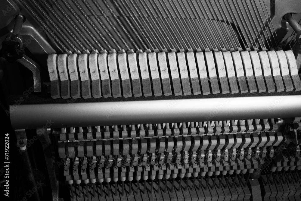 inside of a piano, black and white inside of a piano, black and white