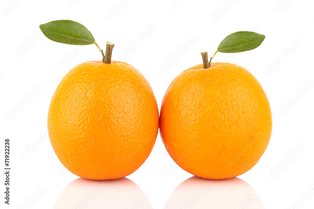 fresh orange isolated on white background fresh orange isolated on white background