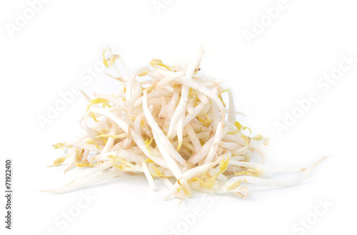 bean sprouts, soybean sprouts on a white background