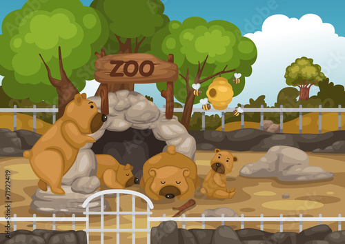 zoo and bear vector