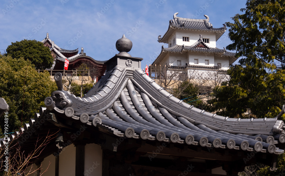 Fototapeta premium Temple and castle