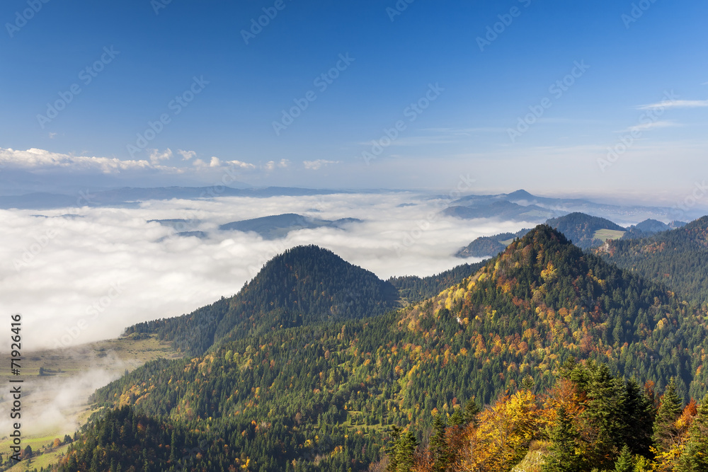 Pieniny Mountains - view from the top