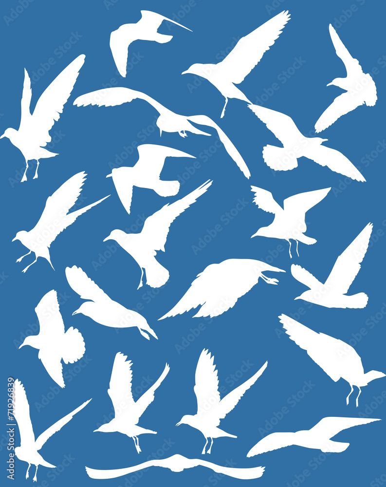 set of twenty gull white silhouettes set of twenty gull white silhouettes