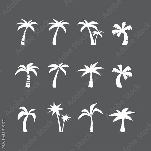 coconut tree icon set  vector eps10