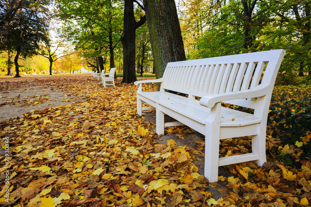 Autumn - bench in autumn park