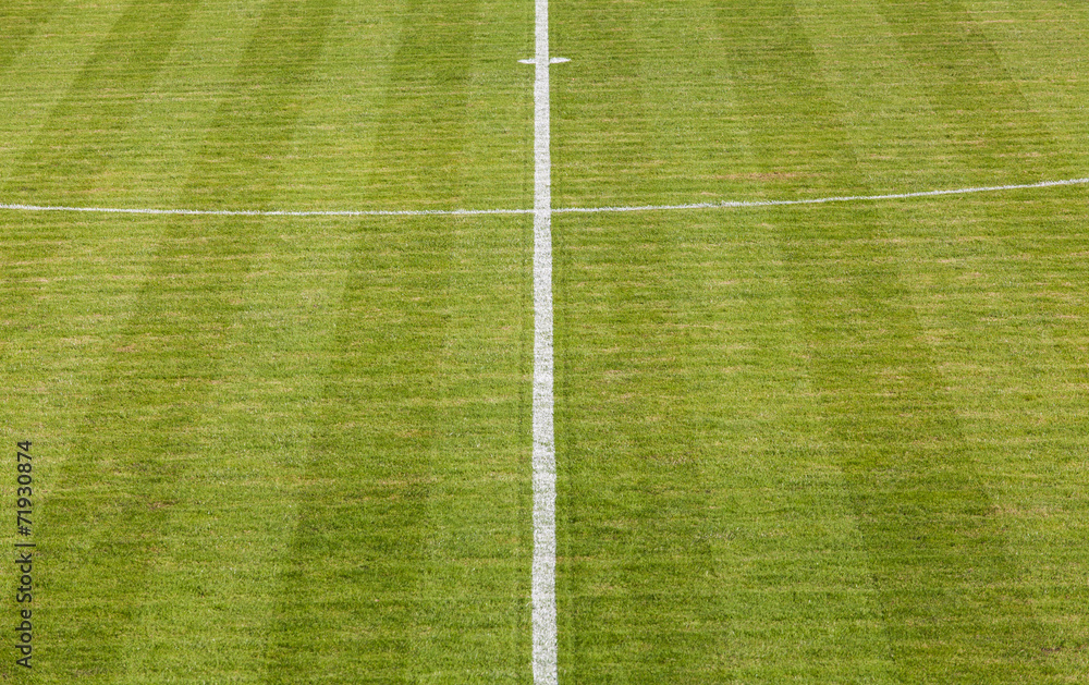 Natural green grass soccer field