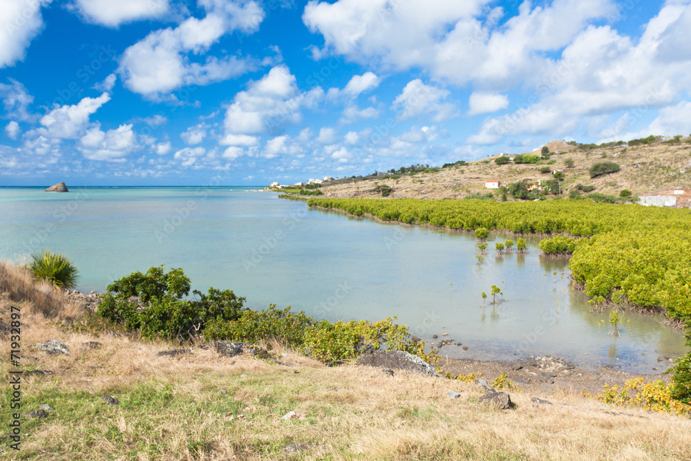 Rodrigues, île Diamant, côte Nord et mangrove
