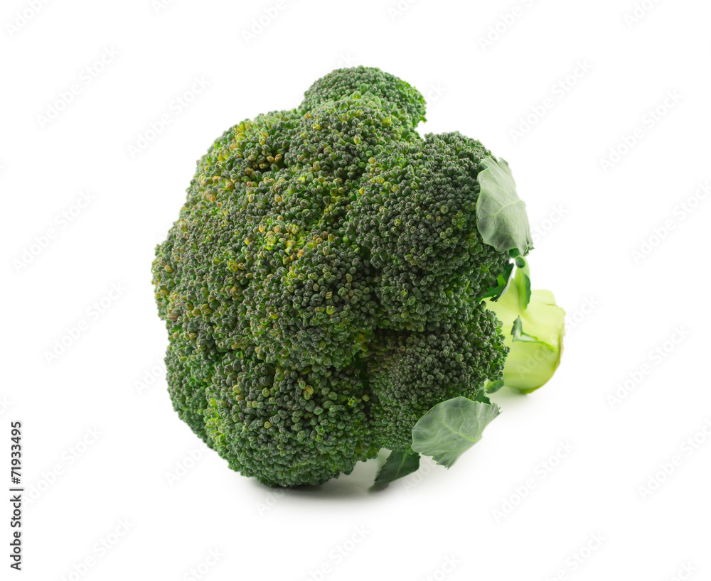broccoli isolated on white background broccoli isolated on white background