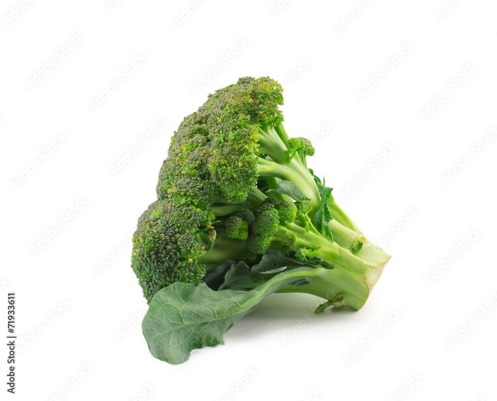 broccoli isolated on white background broccoli isolated on white background