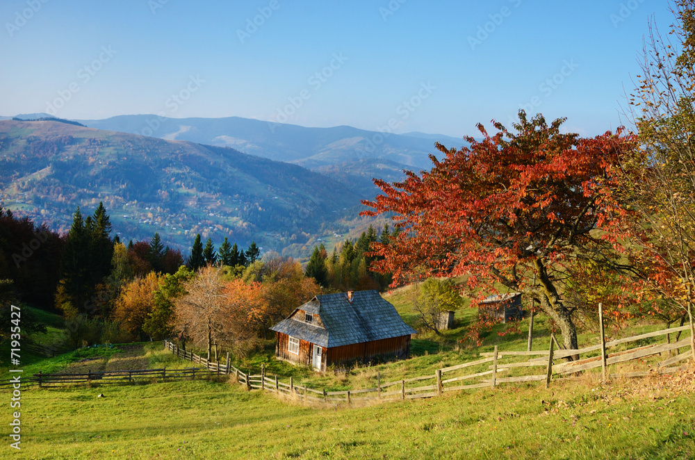 Picturesque autumn rural landscape with a tree with red leaves o