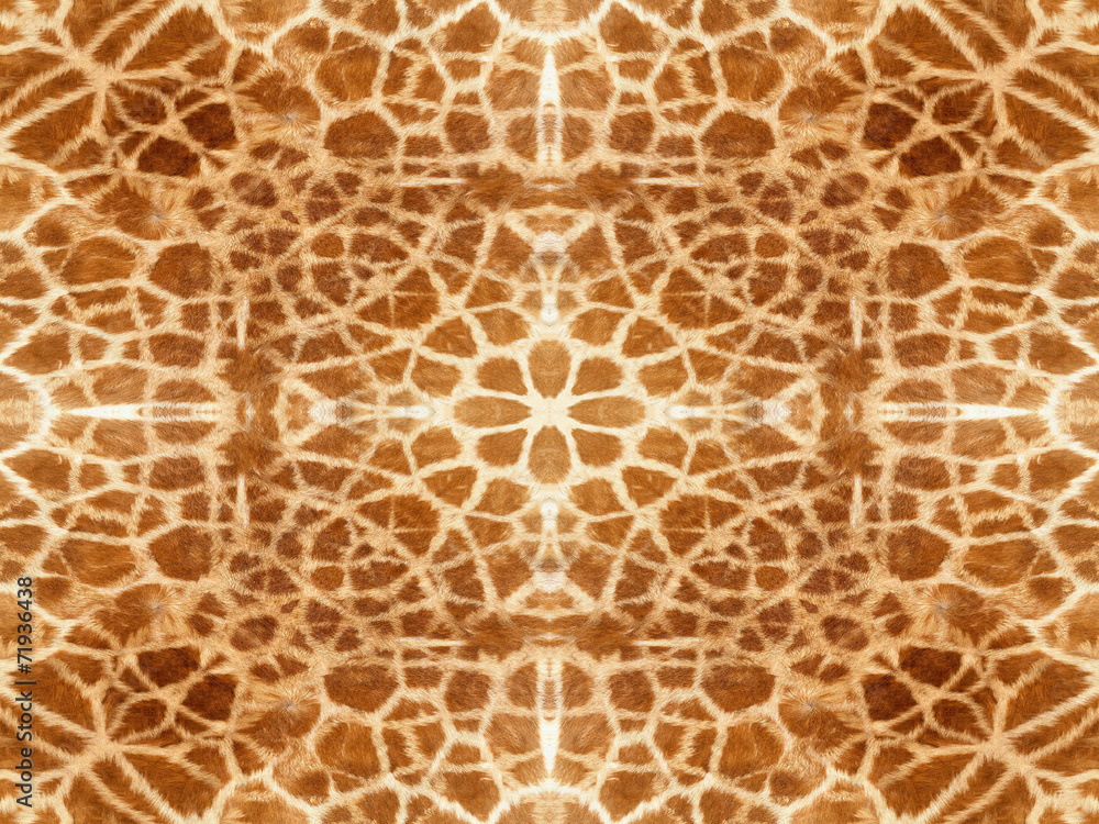 Giraffe skin pattern Giraffe skin pattern