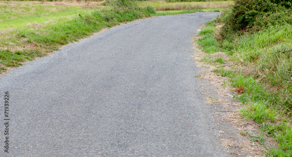 Rural unmarked road