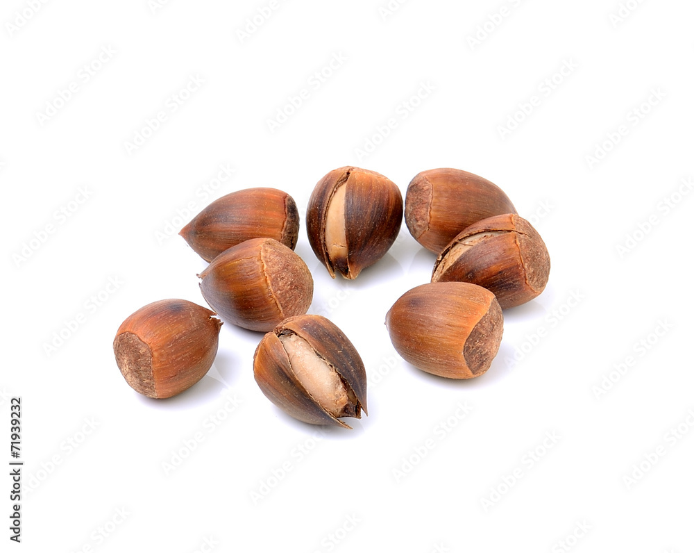 thailand sweet chestnut on white background thailand sweet chestnut on white background